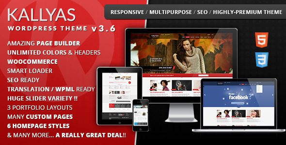 KALLYAS v4.25.0 – 响应式多用途WordPress主题下载