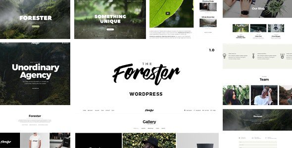 The Forester v.1.4.9 – Elementor Portfolio 主题下载