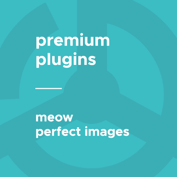Meow – Perfect Images (Retina, Thumbnails, Replace) (Pro) v7.2.3 wordpress图片优化插件下载