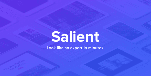 Salient v18.3.0 – 响应式多功能主题下载