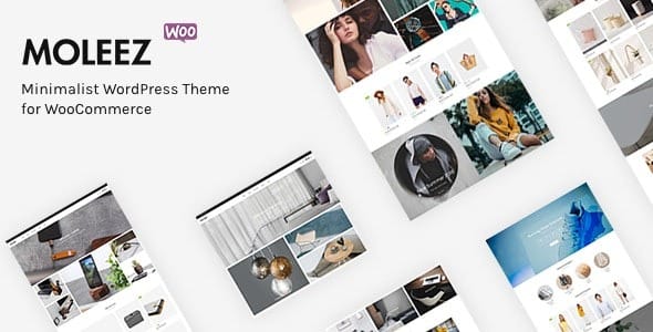 Moleez v2.4.2 WooCommerce 的极简主义 WordPress 主题下载