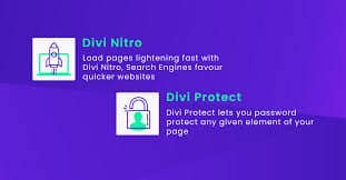 Divi Nitro v.4.0.0 使用 Divi Nitro 加速 Divi主题插件下载