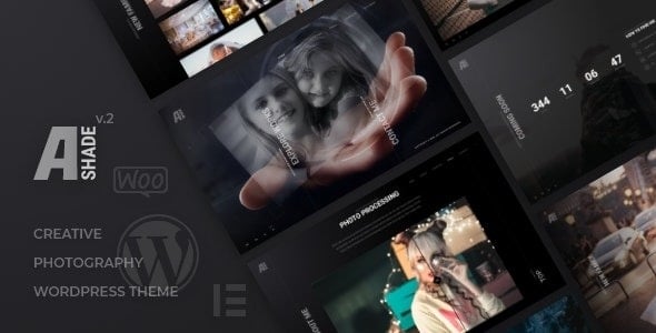 Ashade v7.0 – 摄影 WordPress 主题下载