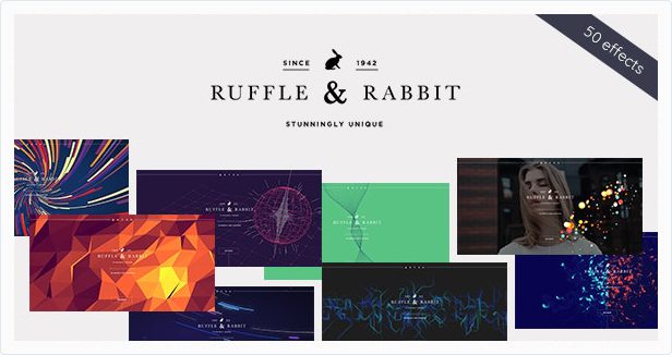 Rabbit v5.0.1 – 独家即将推出 WordPress 主题下载