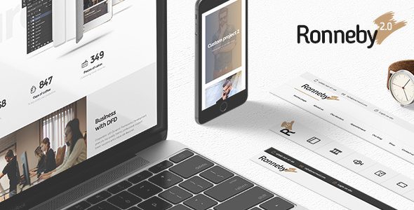 Ronneby v3.5.74 高性能的WordPress主题下载
