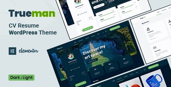 Trueman v1.5.0 – 简历 WordPress 主题下载