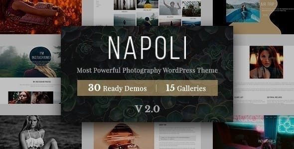 Napoli Photography WordPress v2.4.9 摄影WordPress主题下载