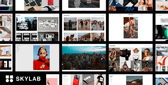 Skylab v3.9.2 –作品集摄影WordPress 主题下载
