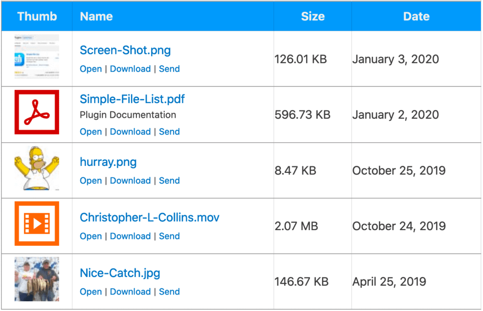 Simple File List Pro v6.1.10 插件下载