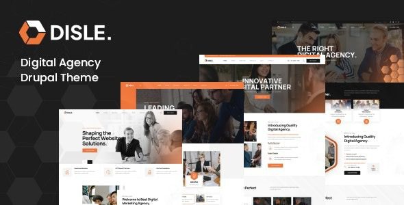 Disle v1.0.3 数字营销机构 Drupal 主题下载