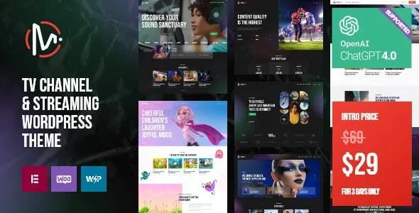 MediaFlex v1.15.0 电视频道和流媒体 WordPress 主题下载