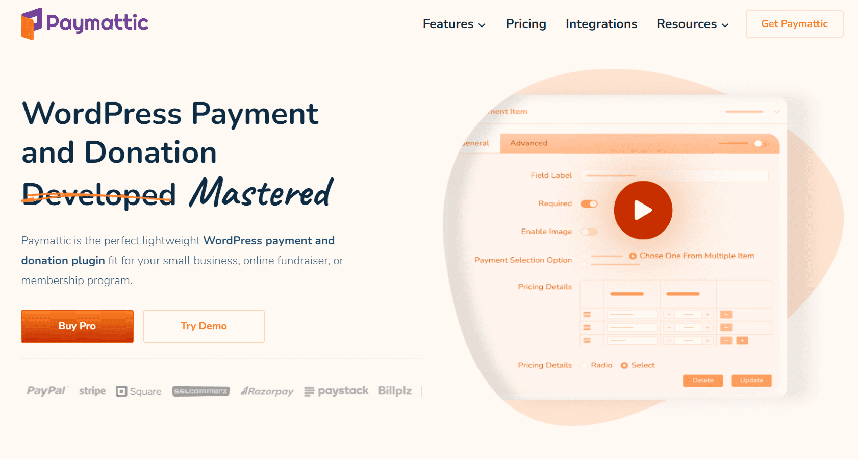 Paymattic Pro v4.6.26 WordPress 付款和捐赠插件下载