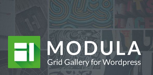 Modula Pro v3.0.10（核心插件） – 最佳的 WordPress 图片流展示插件下载