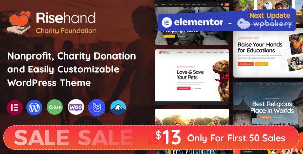 RiseHand 1.2.7 – 慈善与捐赠 WordPress 主题下载