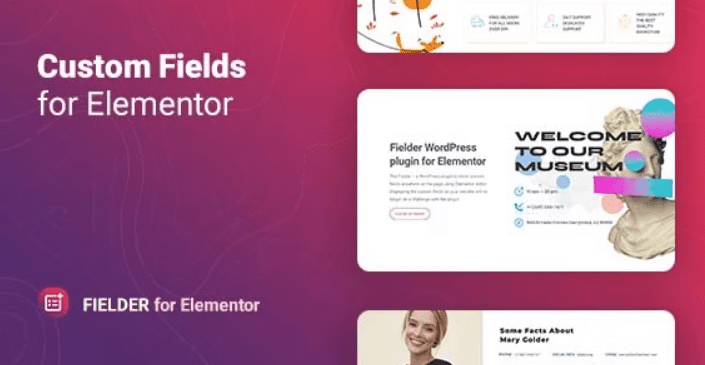 Fielder v1.1.3 适用于 Elementor 的 WordPress 自定义字段插件下载