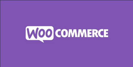 Automatic Payment Status WooCommerce v2.0.26 by WpDesk自动更新订单状态插件下载