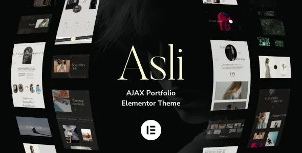 Asli v1.9.14 – Ajax Portfolio Elementor主题下载