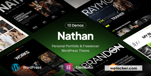 Nathan v1.0.2 – 个人简历 CV 作品集 WordPress 主题下载