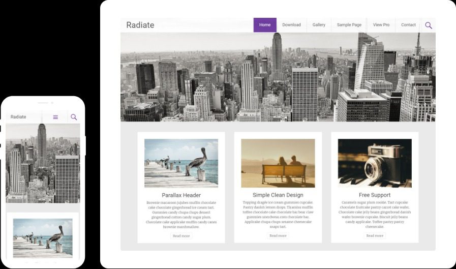 Radiate Pro v2.3.5 博主最喜欢的主题下载