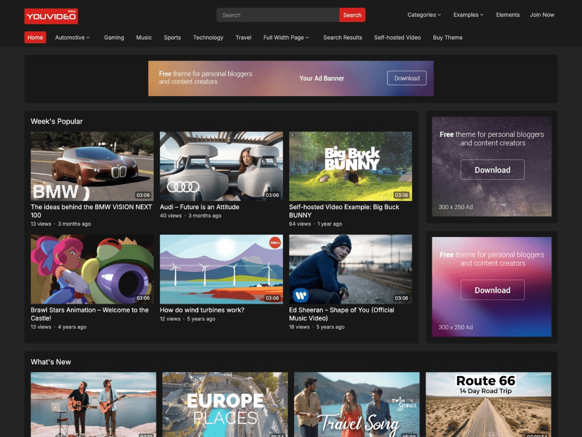 YouVideo Pro v1.0.1 WPEnjoy 主题下载