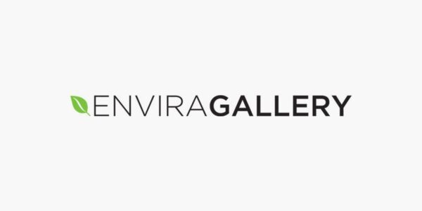Envira Gallery – audio-1.0.5 拓展插件下载