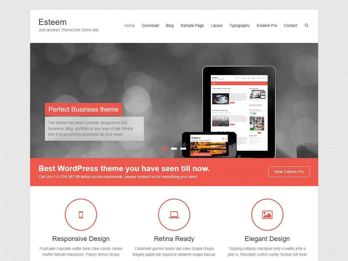 Esteem Pro v2.2.7 WordPress主题下载